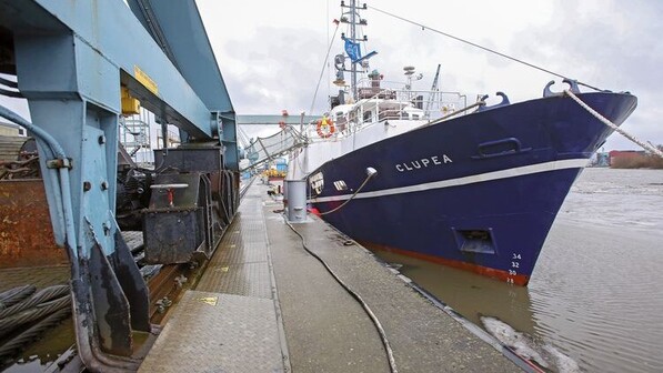 Umbau: Das Schiff in der Pella Sietas Werft im Süden des Hamburger Hafens. Foto: dpa