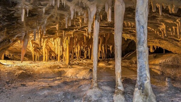 In der Hermannshöhle herrscht eine besondere Stimmung. Der Grotten­olm ist hier zu Hause. Foto: Meusel